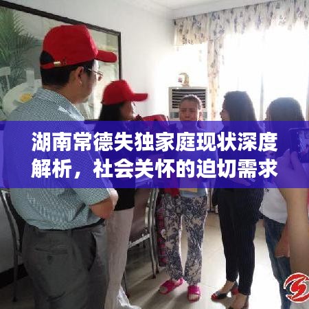 湖南常德失独家庭现状深度解析,社会关怀的迫切需求