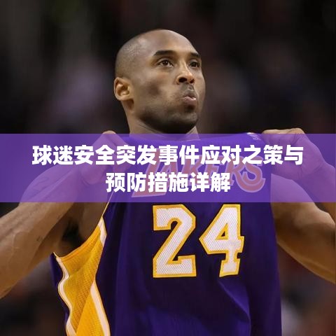 球迷安全突发事件应对之策与预防措施详解