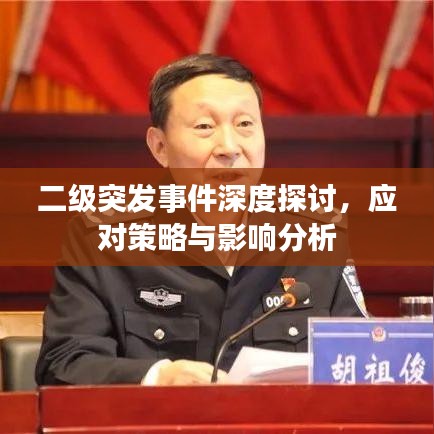 二级突发事件深度探讨,应对策略与影响分析
