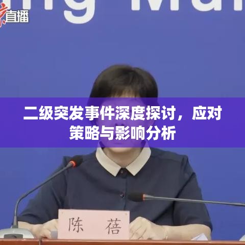 二级突发事件深度探讨,应对策略与影响分析