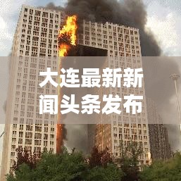 大连最新新闻头条发布动态速递