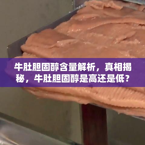 牛肚胆固醇含量解析，真相揭秘，牛肚胆固醇是高还是低？
