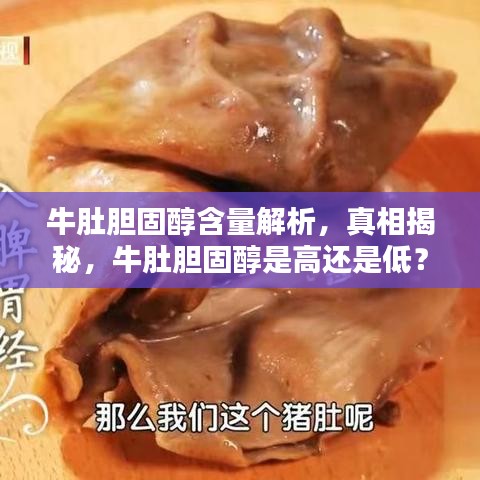 牛肚胆固醇含量解析,真相揭秘,牛肚胆固醇是高还是低?