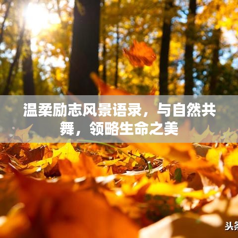 温柔励志风景语录,与自然共舞,领略生命之美