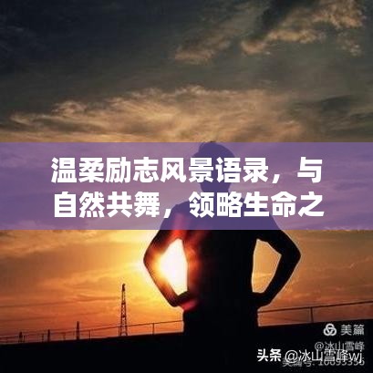 温柔励志风景语录,与自然共舞,领略生命之美
