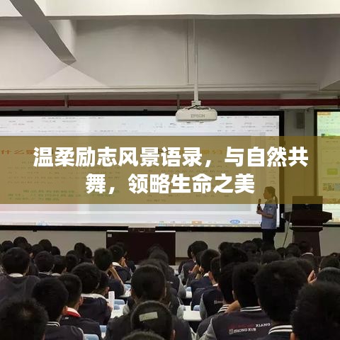 温柔励志风景语录,与自然共舞,领略生命之美