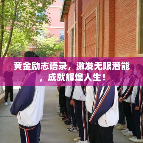 黄金励志语录,激发无限潜能,成就辉煌人生!