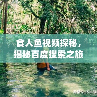 食人鱼视频探秘，揭秘百度搜索之旅