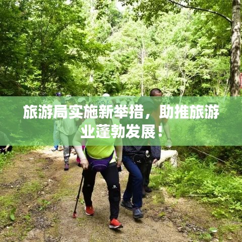 旅游局实施新举措,助推旅游业蓬勃发展!