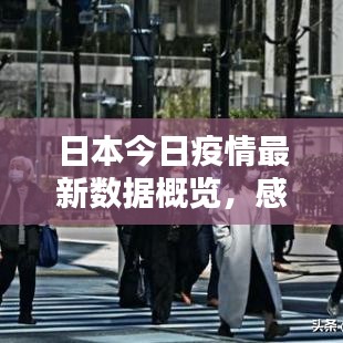 日本今日疫情最新数据概览，感染人数与防控动态更新