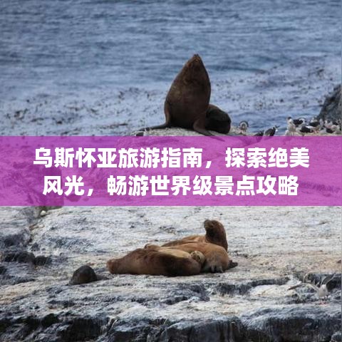 乌斯怀亚旅游指南，探索绝美风光，畅游世界级景点攻略