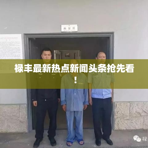 禄丰最新热点新闻头条抢先看!