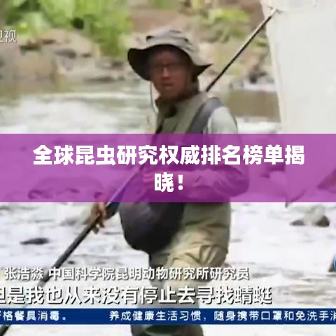 全球昆虫研究权威排名榜单揭晓！