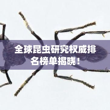 全球昆虫研究权威排名榜单揭晓!