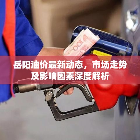 岳阳油价最新动态,市场走势及影响因素深度解析