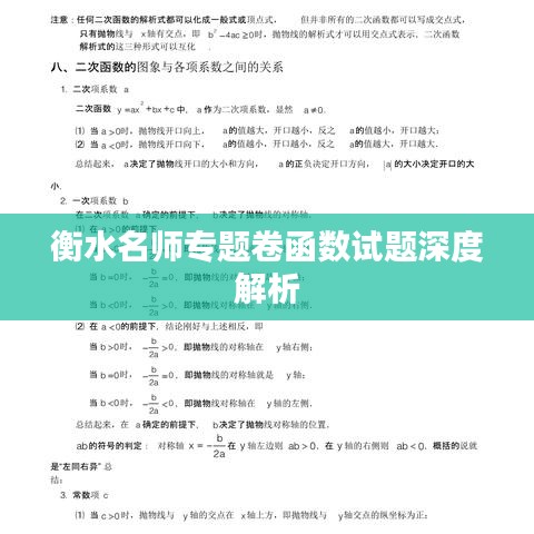衡水名师专题卷函数试题深度解析