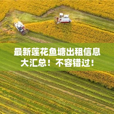 最新莲花鱼塘出租信息大汇总!不容错过!