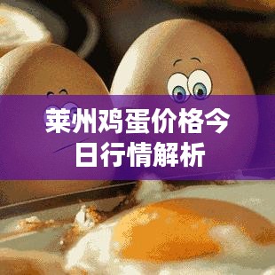 莱州鸡蛋价格今日行情解析