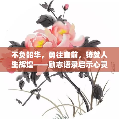 不负韶华,勇往直前,铸就人生辉煌——励志语录启示心灵之路