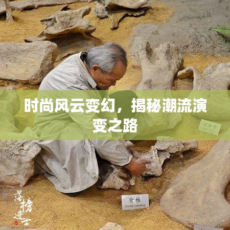 时尚风云变幻，揭秘潮流演变之路