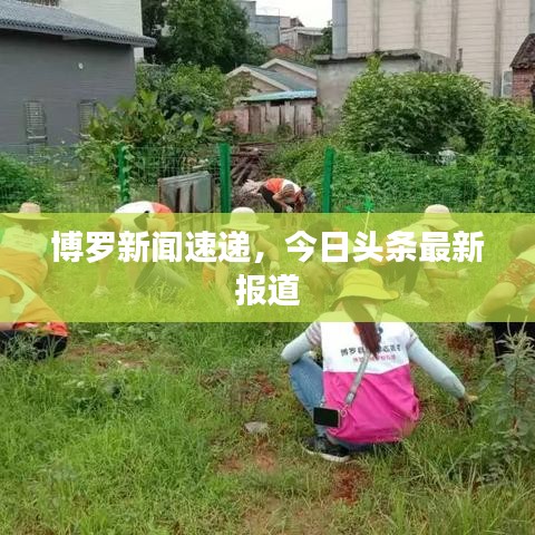 博罗新闻速递，今日头条最新报道