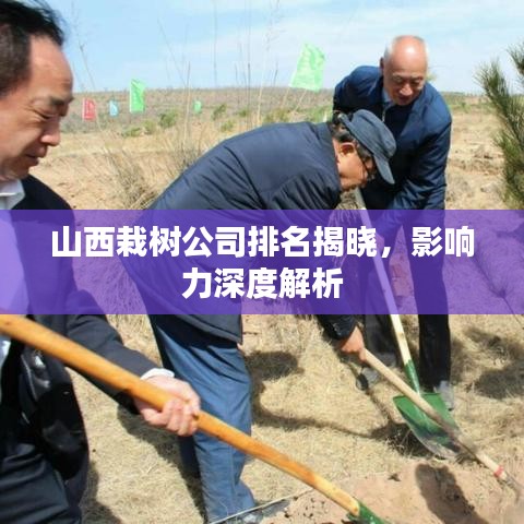 90版本,深入执行数据策略桌面版_v6.835,免费软件的力量与价值