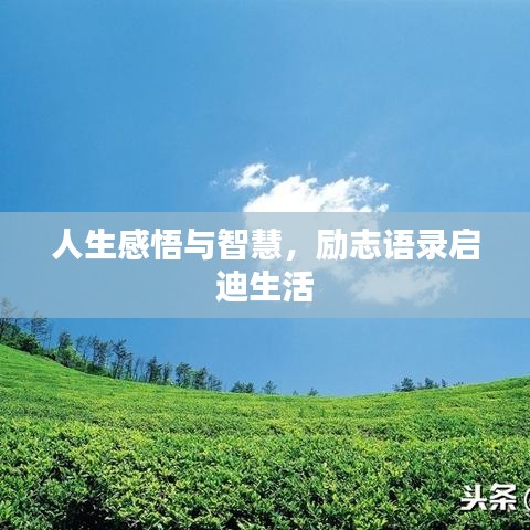 人生感悟与智慧，励志语录启迪生活