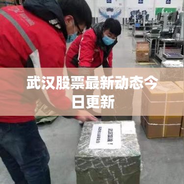 武汉股票最新动态今日更新