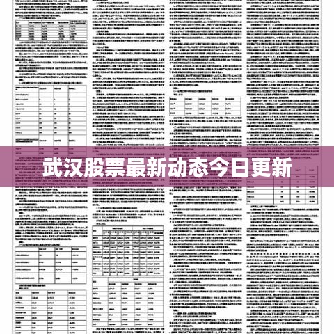 武汉股票最新动态今日更新