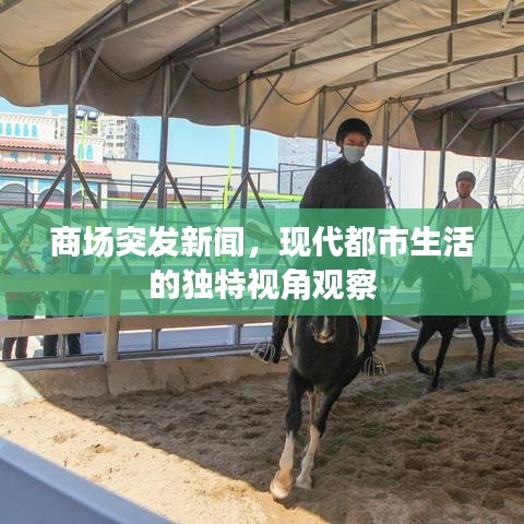 商场突发新闻，现代都市生活的独特视角观察