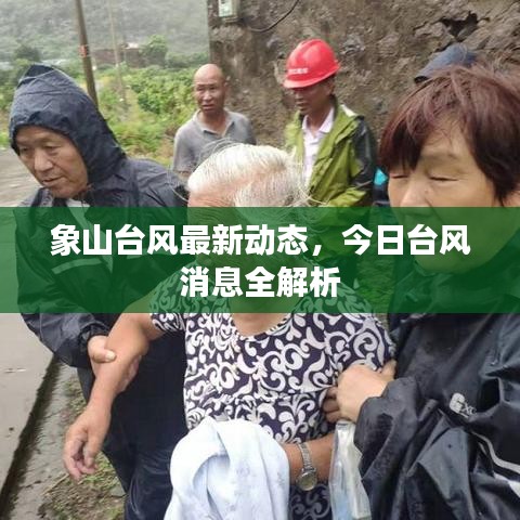 象山台风最新动态,今日台风消息全解析
