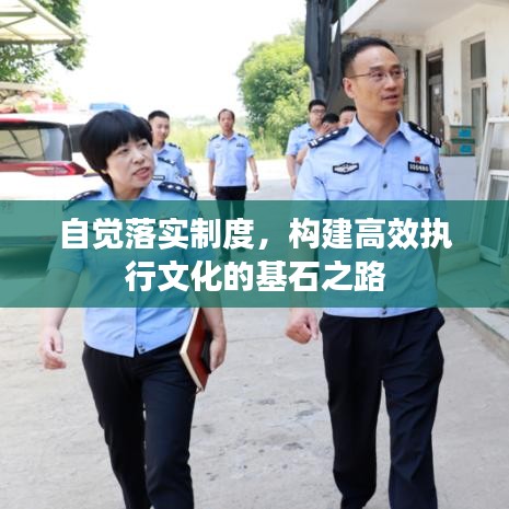 自觉落实制度，构建高效执行文化的基石之路