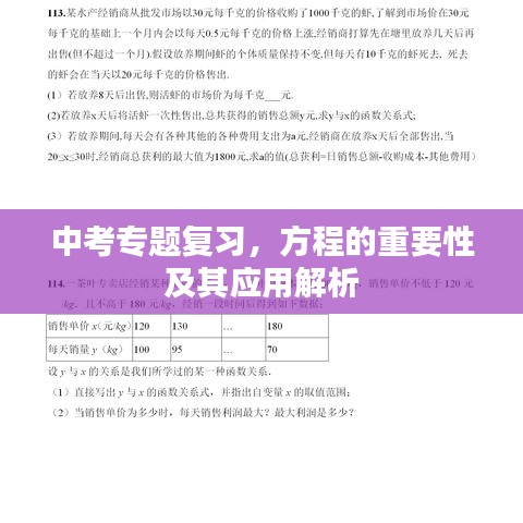 中考专题复习,方程的重要性及其应用解析