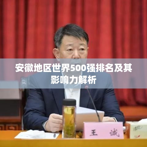 安徽地区世界500强排名及其影响力解析