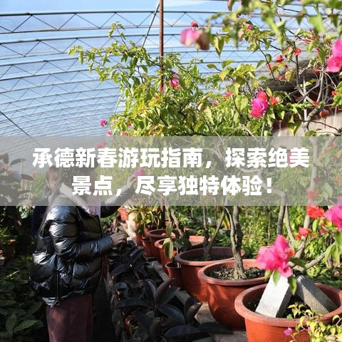 承德新春游玩指南，探索绝美景点，尽享独特体验！