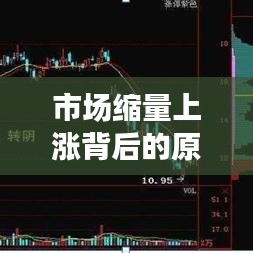 什么手游可以赚钱和缙云游戏中心官方下载,可持续发展探索_Hybrid_v8.295