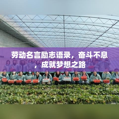 劳动名言励志语录,奋斗不息,成就梦想之路