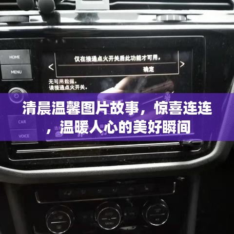 清晨温馨图片故事,惊喜连连,温暖人心的美好瞬间