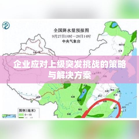 张灯结彩 第8页
