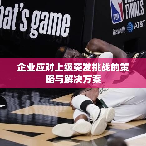 企业应对上级突发挑战的策略与解决方案