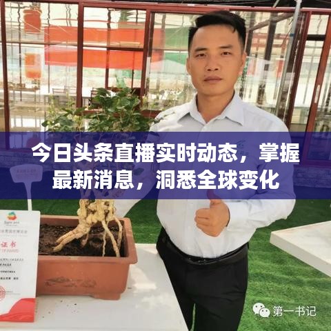 今日头条直播实时动态,掌握最新消息,洞悉全球变化