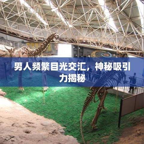 男人频繁目光交汇，神秘吸引力揭秘