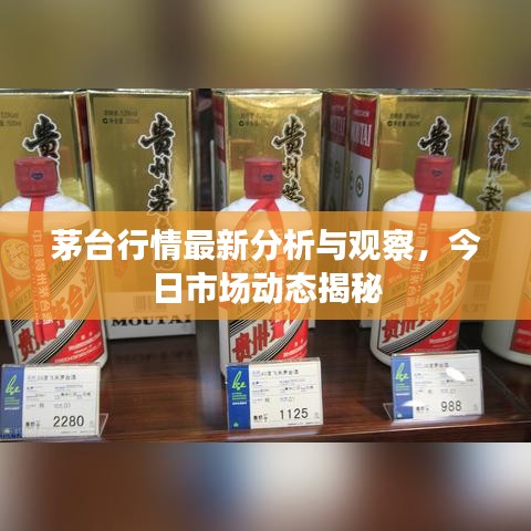 茅台行情最新分析与观察，今日市场动态揭秘
