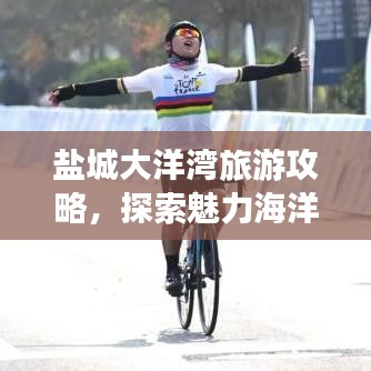 盐城大洋湾旅游攻略，探索魅力海洋景点的绝佳指南