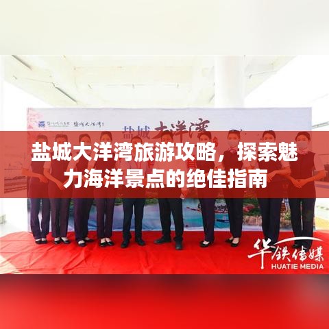 盐城大洋湾旅游攻略,探索魅力海洋景点的绝佳指南
