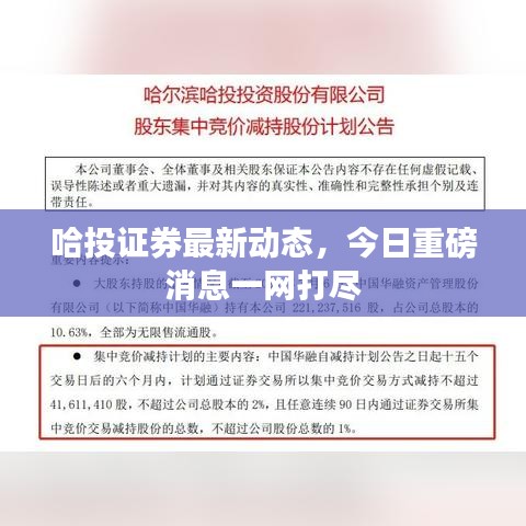 哈投证券最新动态,今日重磅消息一网打尽