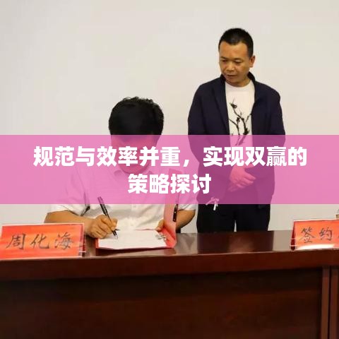 规范与效率并重,实现双赢的策略探讨