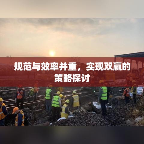 规范与效率并重,实现双赢的策略探讨