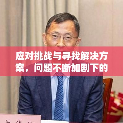 应对挑战与寻找解决方案,问题不断加剧下的策略思考
