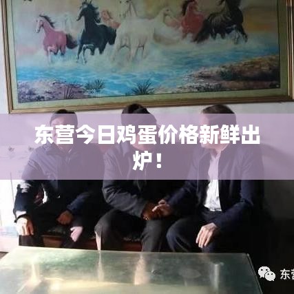 东营今日鸡蛋价格新鲜出炉!